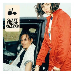 Shake Shook Shaen