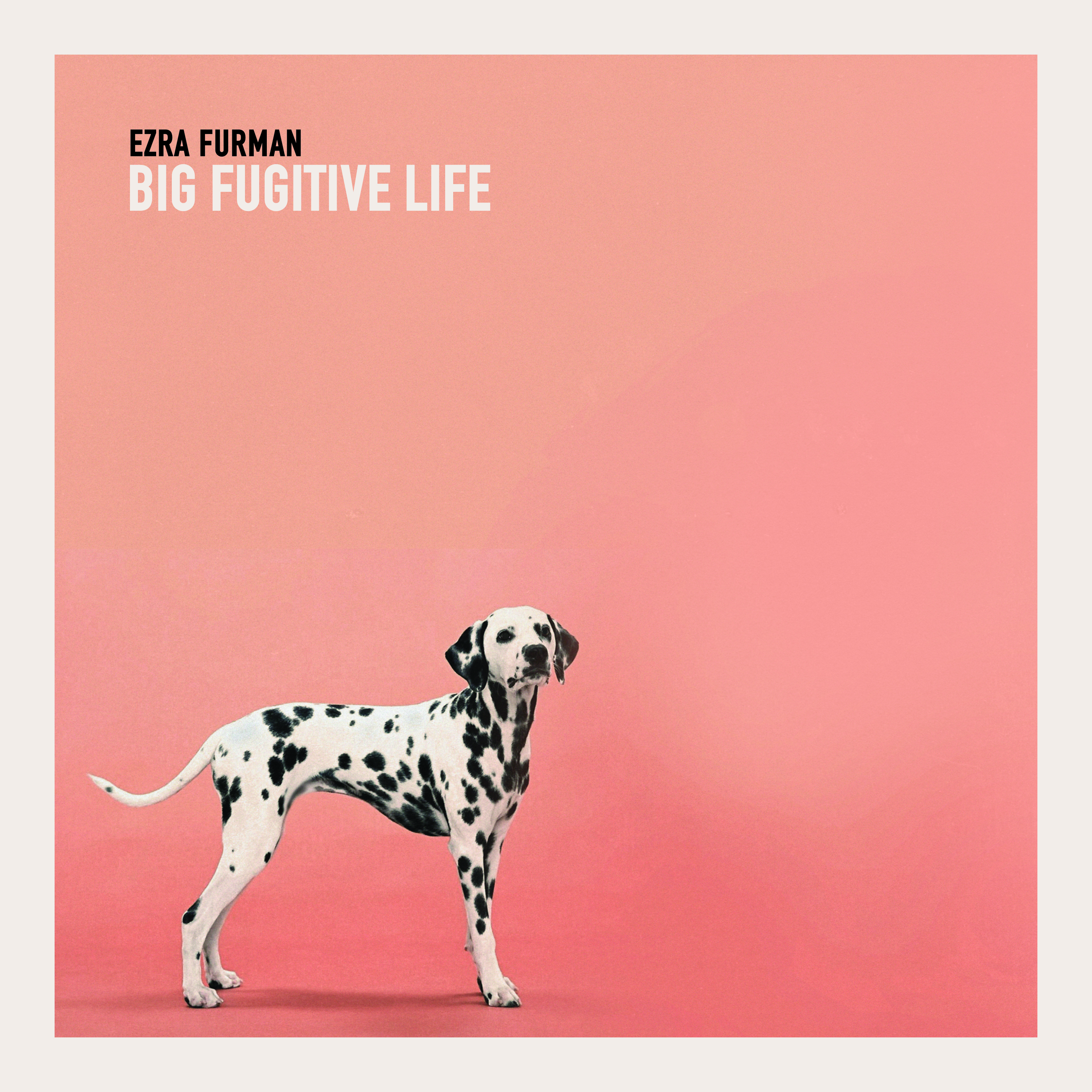 Ezra Furman - Big Fugitive Life Packshot