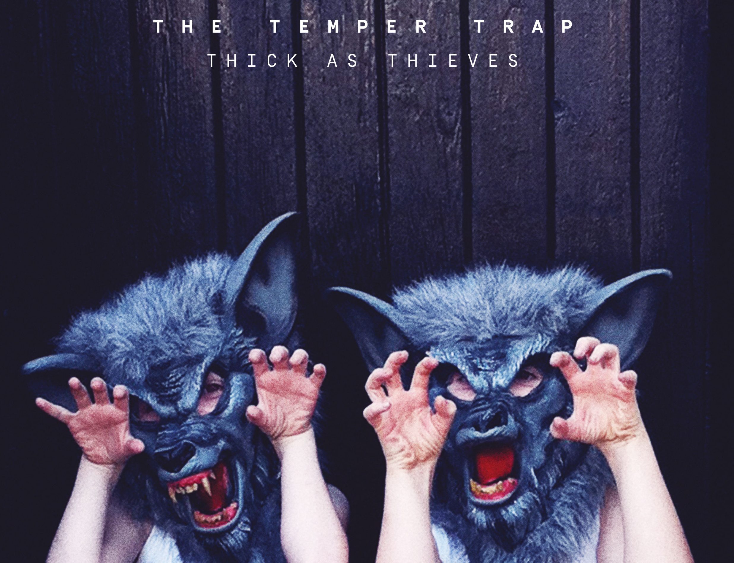 The Temper Trap – Thick as Thieves : un réveil indie quelque peu nébuleux