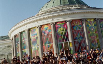 Nuits Botanique 2025 : les coups de coeur de la rédaction